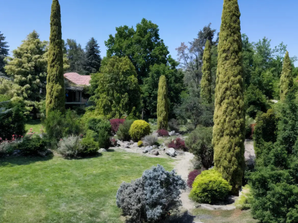 yalova Karaca Ağaç Parkı